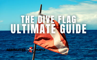 The Dive Flag Ultimate Guide